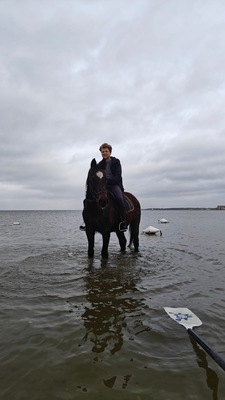 4b94bf29-1257-488c-902c-1106416eff6a