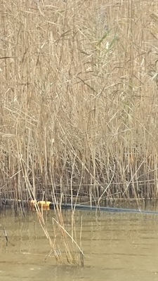 7babdd86-182d-4f81-a6f6-6ee44455e590-1